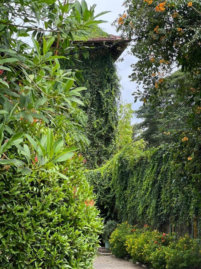 كاندي Udf Nature Villa المظهر الخارجي الصورة