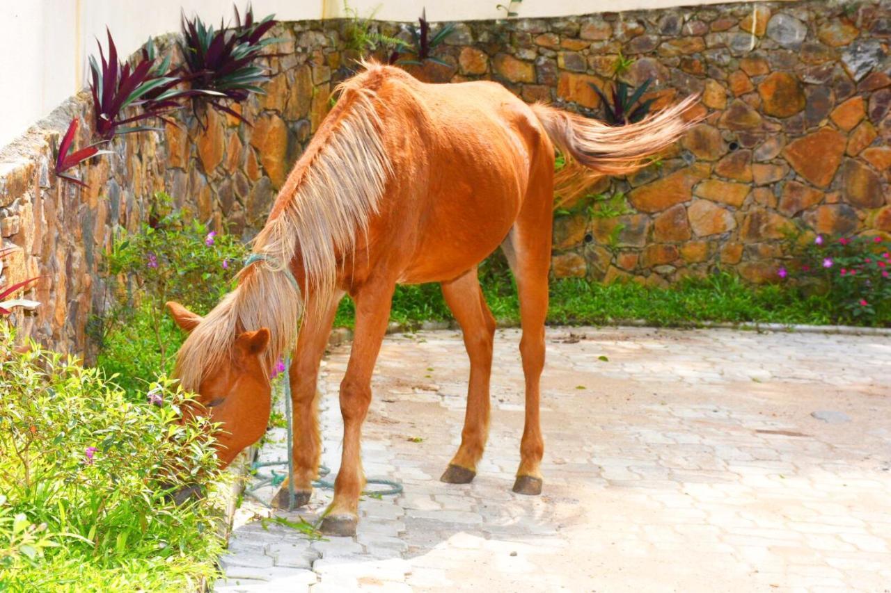كاندي Udf Nature Villa المظهر الخارجي الصورة